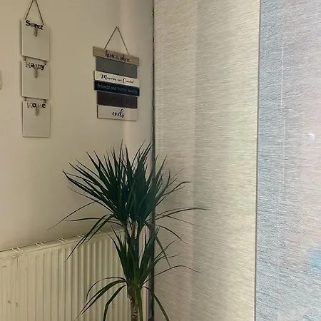 Summer House With Terrace And Free Private Parking Koper